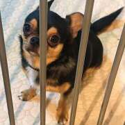 ヒメ日記 2026/01/28 18:33 投稿 りの DEEP BLACK