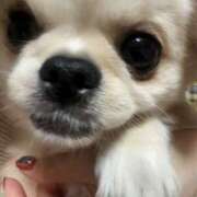 ヒメ日記 2026/02/02 20:17 投稿 りの DEEP BLACK