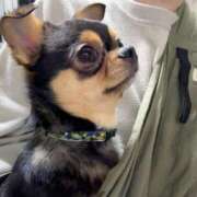 ヒメ日記 2026/02/04 18:08 投稿 りの DEEP BLACK