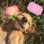 ヒメ日記 2026/04/07 21:39 投稿 りの DEEP BLACK