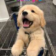 ヒメ日記 2026/02/27 20:20 投稿 りの ローズ～ミドルエイジ～