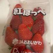 ヒメ日記 2026/03/02 16:39 投稿 りあ 浜松駅前ちゃんこ