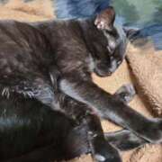 ヒメ日記 2025/12/31 10:37 投稿 ふらん ドMバスターズ 京都店