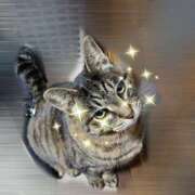 ヒメ日記 2026/01/04 17:44 投稿 ふらん ドMバスターズ 京都店