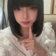 ヒメ日記 2025/12/18 14:55 投稿 かえで 今こそ!にゃんにゃん学園