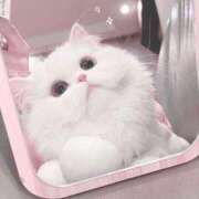 ヒメ日記 2025/12/13 18:11 投稿 羽虹-HANI- luxury aroma 咲