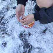 ヒメ日記 2026/01/06 06:58 投稿 しな クラブハート