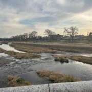 ヒメ日記 2025/12/20 18:30 投稿 ゆうがお DCP