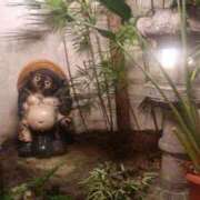 ヒメ日記 2025/12/21 03:31 投稿 ゆうがお DCP