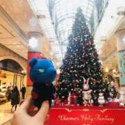 ヒメ日記 2025/12/25 14:50 投稿 ゆうがお DCP