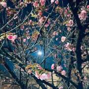 ヒメ日記 2026/01/22 20:45 投稿 ゆうがお DCP