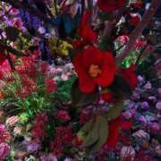 ヒメ日記 2026/01/24 02:36 投稿 ゆうがお DCP