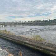 ヒメ日記 2026/01/28 23:45 投稿 ゆうがお DCP