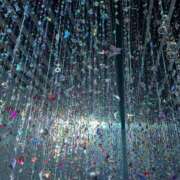 ヒメ日記 2026/02/25 11:46 投稿 ゆうがお DCP