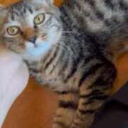 ヒメ日記 2026/04/23 20:45 投稿 ゆうがお DCP