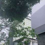 ヒメ日記 2026/06/08 14:24 投稿 ゆうがお DCP