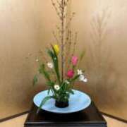 ヒメ日記 2026/08/13 21:26 投稿 ゆうがお DCP