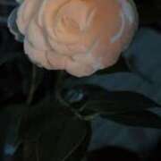 ヒメ日記 2025/12/13 03:32 投稿 ゆうがお 京都デリヘル倶楽部FIRST