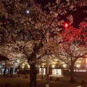 ヒメ日記 2025/12/22 17:59 投稿 ゆうがお 京都デリヘル倶楽部FIRST