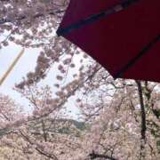 ヒメ日記 2025/12/27 20:06 投稿 ゆうがお 京都デリヘル倶楽部FIRST