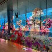 ヒメ日記 2025/12/30 00:17 投稿 ゆうがお 京都デリヘル倶楽部FIRST