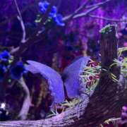 ヒメ日記 2026/01/20 21:45 投稿 ゆうがお 京都デリヘル倶楽部FIRST