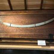 ヒメ日記 2026/01/23 02:45 投稿 ゆうがお 京都デリヘル倶楽部FIRST