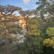 ヒメ日記 2026/02/21 01:45 投稿 ゆうがお 京都デリヘル倶楽部FIRST