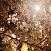 ゆうがお ありがとうございます🌺 京都デリヘル倶楽部FIRST