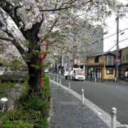 ヒメ日記 2026/03/19 10:08 投稿 ゆうがお 京都デリヘル倶楽部FIRST