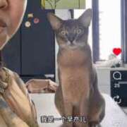 ヒメ日記 2026/04/14 15:31 投稿 ゆうがお 京都デリヘル倶楽部FIRST