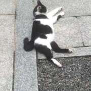 ヒメ日記 2025/12/30 22:00 投稿 ゆうがお 京都ホテヘル倶楽部