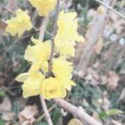 ヒメ日記 2026/01/03 20:45 投稿 ゆうがお 京都ホテヘル倶楽部