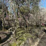 ヒメ日記 2026/02/20 20:45 投稿 ゆうがお 京都ホテヘル倶楽部