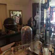 ヒメ日記 2026/02/21 00:45 投稿 ゆうがお 京都ホテヘル倶楽部