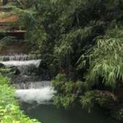 ヒメ日記 2026/03/06 16:45 投稿 ゆうがお 京都ホテヘル倶楽部