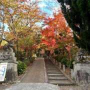 ヒメ日記 2026/03/06 22:51 投稿 ゆうがお 京都ホテヘル倶楽部