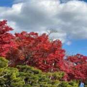 ヒメ日記 2026/03/11 18:45 投稿 ゆうがお 京都ホテヘル倶楽部