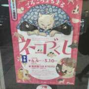 ヒメ日記 2026/04/03 02:02 投稿 ゆうがお 京都ホテヘル倶楽部
