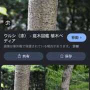 ヒメ日記 2026/05/24 03:30 投稿 ゆうがお 京都ホテヘル倶楽部