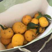 ヒメ日記 2025/12/13 11:37 投稿 神崎 人妻風俗チャンネル