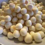 ヒメ日記 2025/12/17 16:50 投稿 神崎 人妻風俗チャンネル