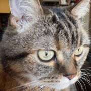 ヒメ日記 2025/12/17 20:34 投稿 神崎 人妻風俗チャンネル