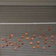 ヒメ日記 2025/12/18 22:23 投稿 神崎 人妻風俗チャンネル