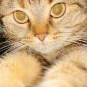 ヒメ日記 2025/12/26 22:12 投稿 神崎 人妻風俗チャンネル