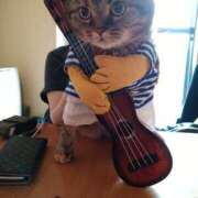 ヒメ日記 2026/01/01 09:39 投稿 神崎 人妻風俗チャンネル