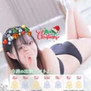 ヒメ日記 2025/12/22 16:21 投稿 なつか 若葉