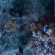 ヒメ日記 2026/02/07 22:19 投稿 白井　蘭 イラマチーオ新宿店