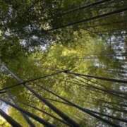 ヒメ日記 2026/02/10 19:19 投稿 白井　蘭 イラマチーオ新宿店