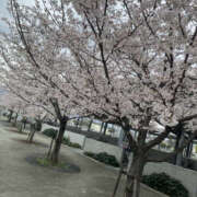 ヒメ日記 2026/03/25 07:50 投稿 中川ゆかり セカンドパートナー